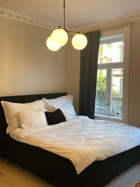 Lovely Central Apartment With Two Large Bedrooms Nearby Oslo Opera, Vis A Vis Botanical Garden Exteriör bild