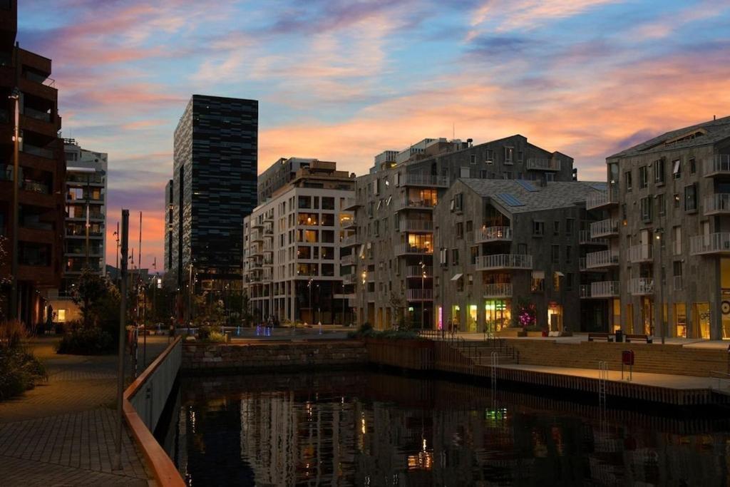 Lovely Central Apartment With Two Large Bedrooms Nearby Oslo Opera, Vis A Vis Botanical Garden Exteriör bild